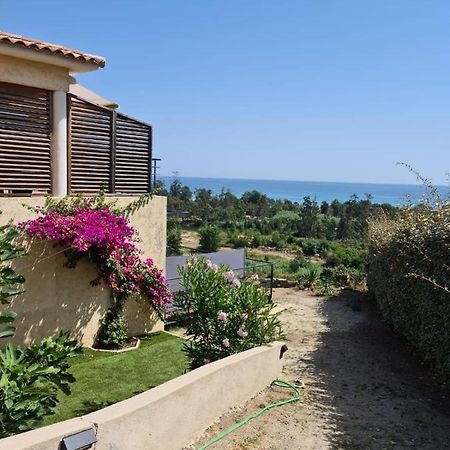 Отель Casa Peppina - Chez Tonio Et Sylvie Сари-Соленцара Экстерьер фото